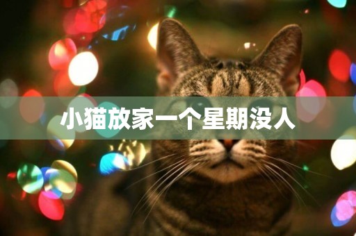 小貓放家一個星期沒人