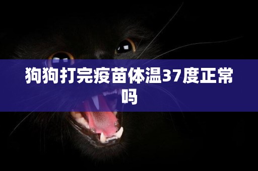 狗狗打完疫苗體溫37度正常嗎