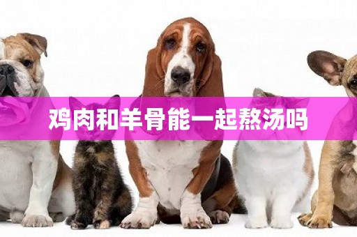 雞肉和羊骨能一起熬湯嗎