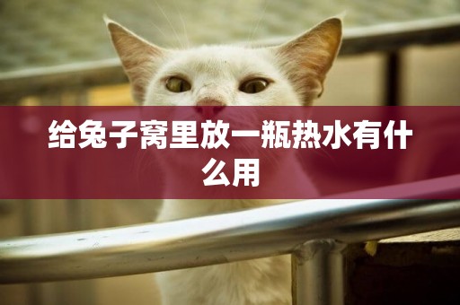 給兔子窩里放一瓶熱水有什么用