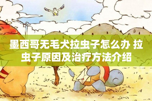 墨西哥無毛犬拉蟲子怎么辦 拉蟲子原因及治療方法介紹