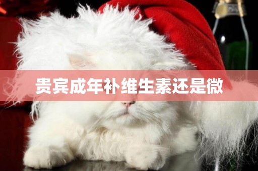 貴賓成年補維生素還是微