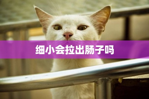 細小會拉出腸子嗎