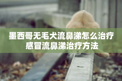 墨西哥無毛犬流鼻涕怎么治療 感冒流鼻涕治療方法