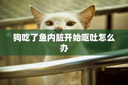 狗吃了魚內臟開始嘔吐怎么辦