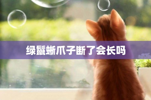 綠鬣蜥爪子斷了會長嗎