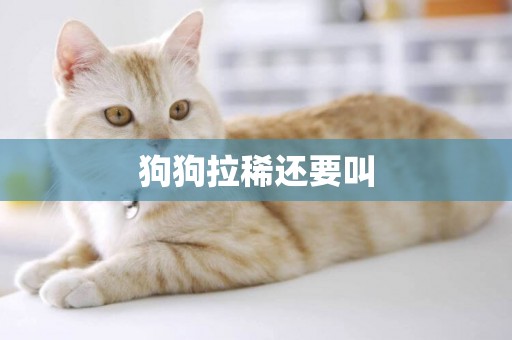 狗狗拉稀還要叫