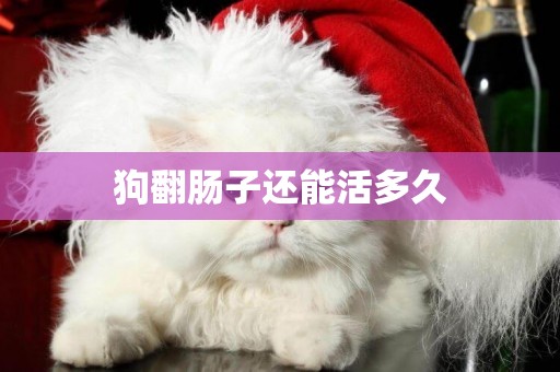 狗翻腸子還能活多久