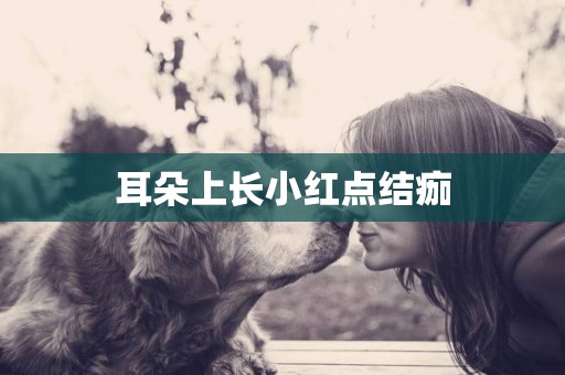 耳朵上長小紅點結痂
