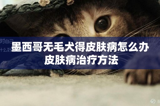墨西哥無毛犬得皮膚病怎么辦 皮膚病治療方法