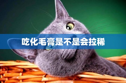 吃化毛膏是不是會拉稀
