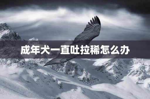 成年犬一直吐拉稀怎么辦