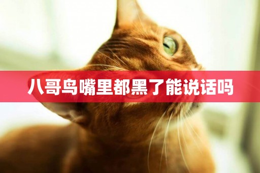 八哥鳥嘴里都黑了能說話嗎