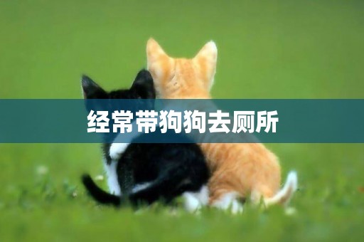 經常帶狗狗去廁所