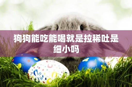 狗狗能吃能喝就是拉稀吐是細小嗎