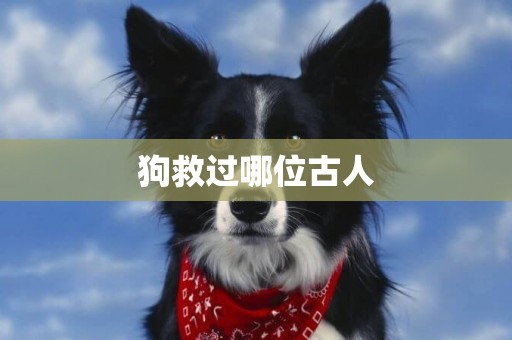 狗救過哪位古人