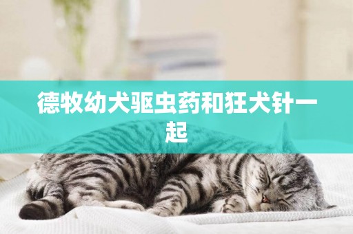 德牧幼犬驅蟲藥和狂犬針一起