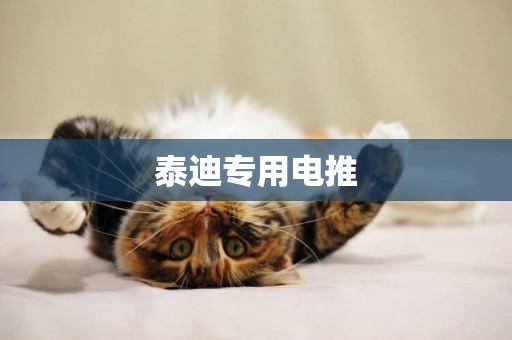 泰迪專用電推