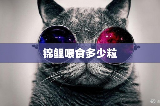 錦鯉喂食多少粒