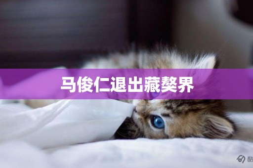 馬俊仁退出藏獒界