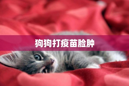 狗狗打疫苗臉腫