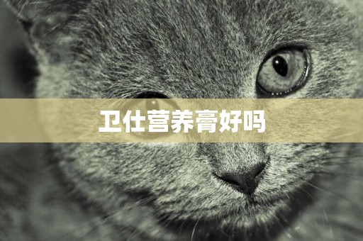 衛仕營養膏好嗎