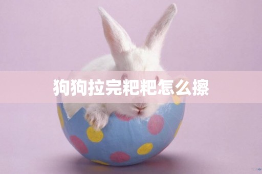 狗狗拉完粑粑怎么擦