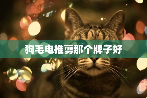 狗毛電推剪那個牌子好
