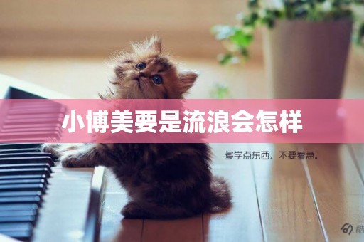 小博美要是流浪會怎樣