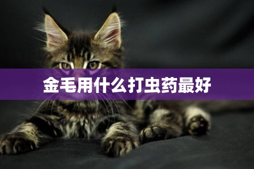 金毛用什么打蟲藥最好