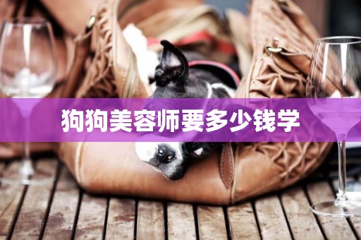 狗狗美容師要多少錢學