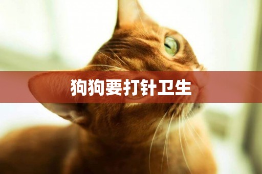 狗狗要打針衛生
