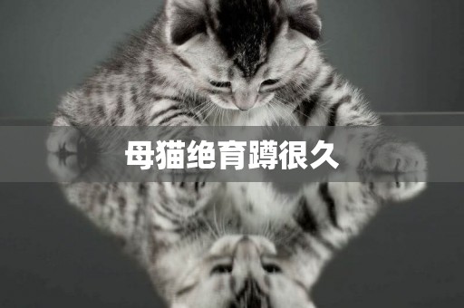 母貓絕育蹲很久