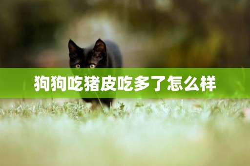 狗狗吃豬皮吃多了怎么樣