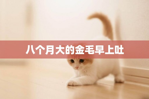 八個月大的金毛早上吐
