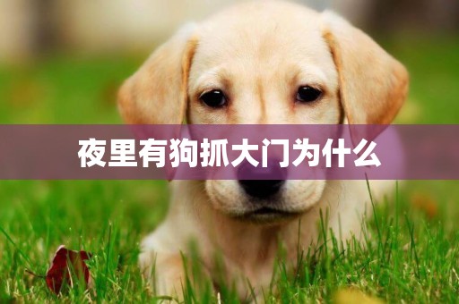 夜里有狗抓大門為什么