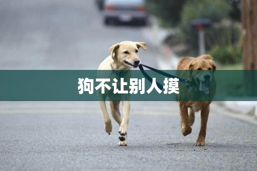 狗不讓別人摸