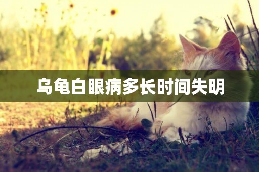 烏龜白眼病多長時間失明