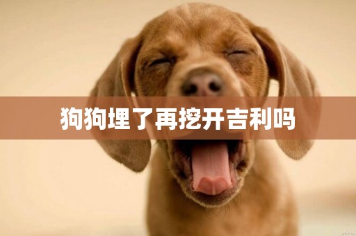 狗狗埋了再挖開吉利嗎