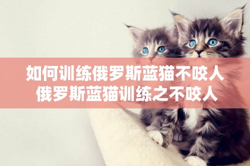 如何訓練俄羅斯藍貓不咬人 俄羅斯藍貓訓練之不咬人
