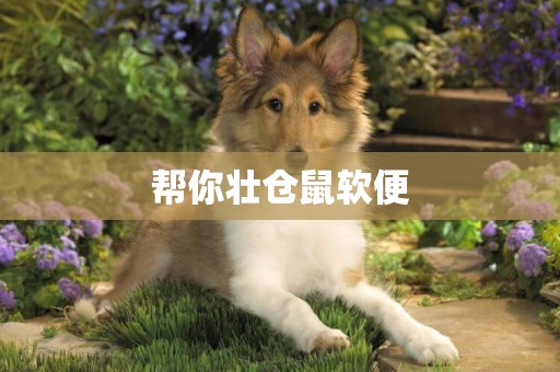幫你壯倉鼠軟便
