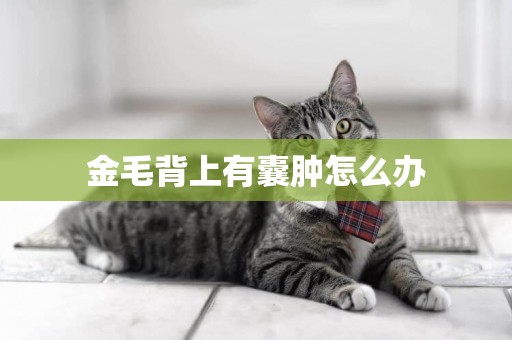 金毛背上有囊腫怎么辦