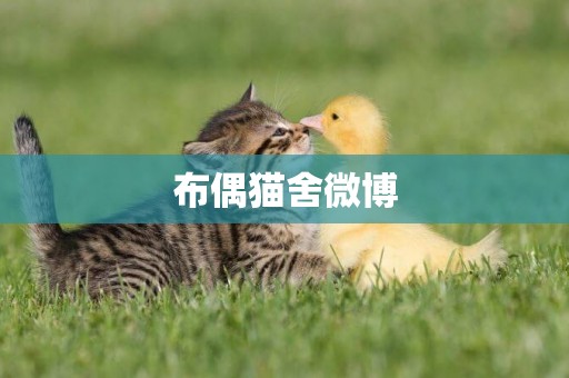 布偶貓舍微博