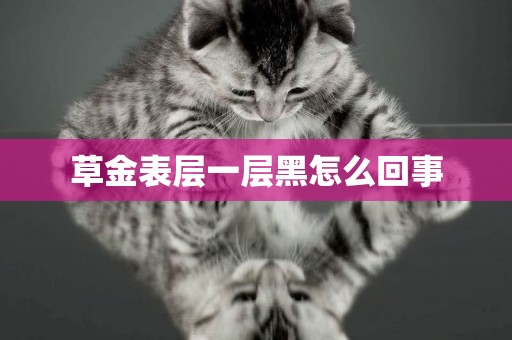 草金表層一層黑怎么回事