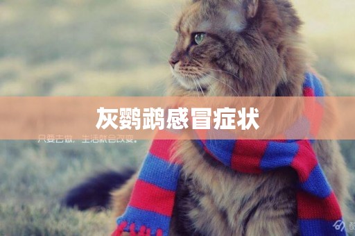 灰鸚鵡感冒癥狀