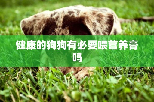 健康的狗狗有必要喂營養膏嗎