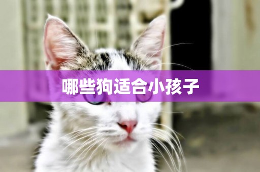 哪些狗適合小孩子