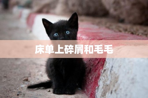 床單上碎屑和毛毛