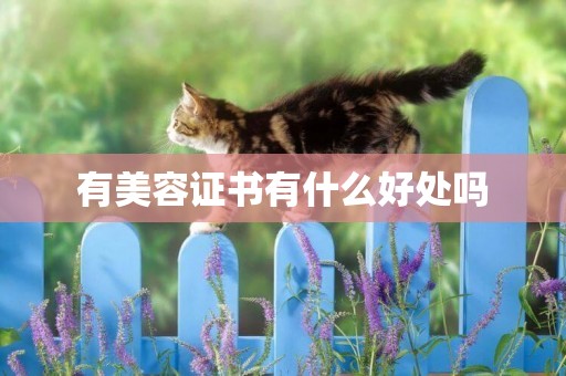 有美容證書有什么好處嗎