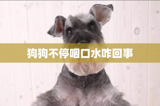 狗狗不停咽口水咋回事